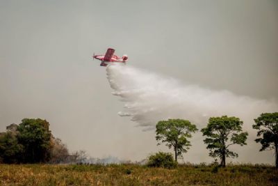 ​MT aciona Minist�rio do Meio Ambiente para refor�ar a��es de combate a inc�ndio no Pantanal
