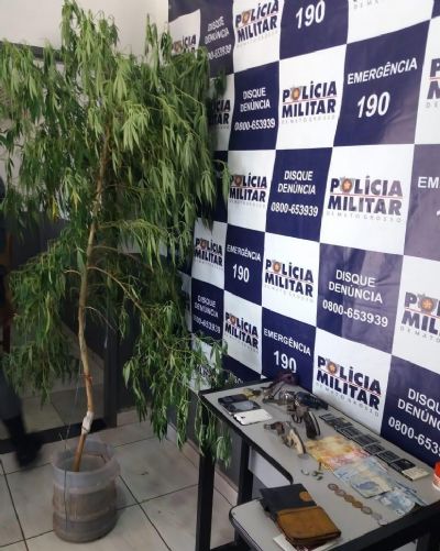 Suspeitos s�o detidos com p� de maconha, armas de fogo e drogas