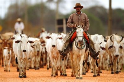 ​Pecuaristas s�o capacitados para escolher equipe e melhorar produtividade