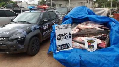 ​Mais de uma tonelada de pescado ilegal � apreendida em opera��es da piracema