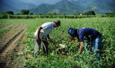 Plataforma do Desenrola renegociar� d�vidas de agricultores familiares