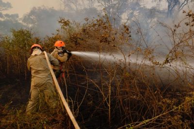 Come�a hoje per�odo proibitivo de uso de fogo em �reas rurais em Mato Grosso