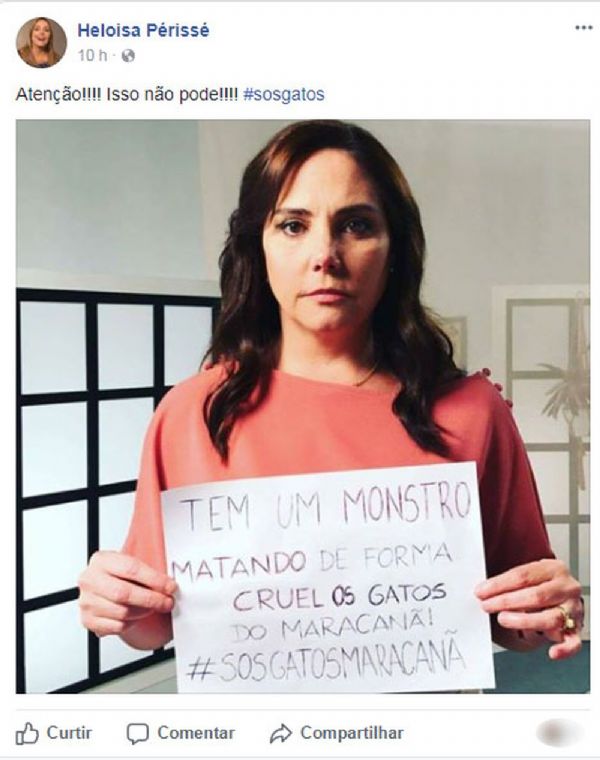 Gatos s�o encontrados mortos no entorno do Maracan� com sinais de tortura