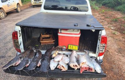 ​Fiscaliza��o apreende 30 quilos de pescado durante patrulhamento em Sinop