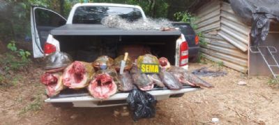 ​Sema apreende pescado ilegal durante opera��o no S�o Gon�alo Beira Rio