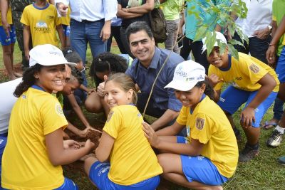 ​Plantio de 300 mudas come�a a revitalizar espa�os urbanos e promove qualidade de vida