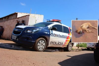 ​Homem � preso ap�s matar cachorro com facadas no pesco�o