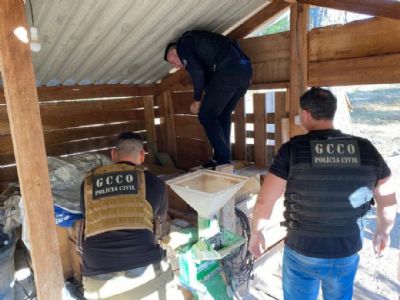 Criminosos que roubaram mais de R$ 300 mil em agrot�xicos s�o alvos de opera��o