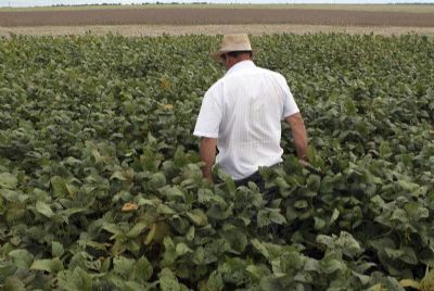​ Produtores visam novas regras ambientais do Governo Federal em 2023