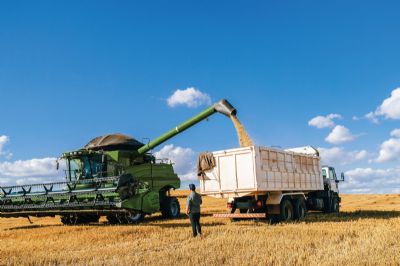 Sicredi oferece nova linha de cr�dito rural em d�lar