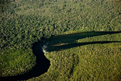 Projeto vai garantir renda para pescador e combater a pesca predat�ria