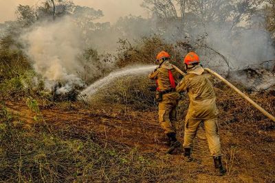 ​MT antecipa e amplia proibi��o do fogo devido alerta de seca hist�rica
