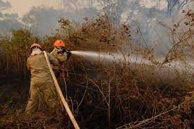 ​Governo homologa situa��o de emerg�ncia em Pocon�