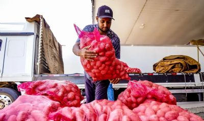Conab aponta queda de pre�o da batata e alta da cebola e tomate