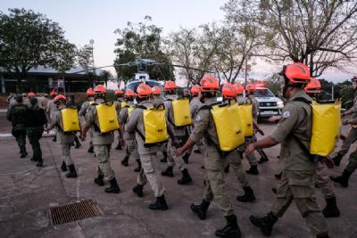 �rg�os estaduais e federais d�o in�cio � etapa de resposta aos inc�ndios florestais