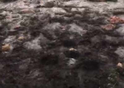 Chuva em Cuiab� transforma C�rrego da 8 de Abril em 'rio negro' cheio de entulho