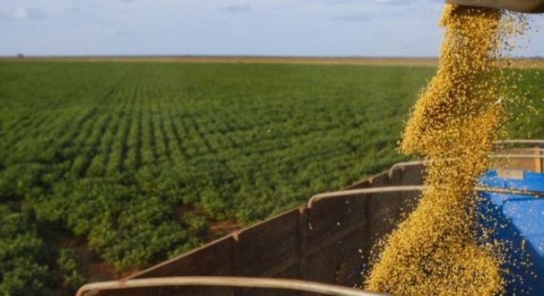 ​Produtores antecipam venda da pr�xima safra com cautela