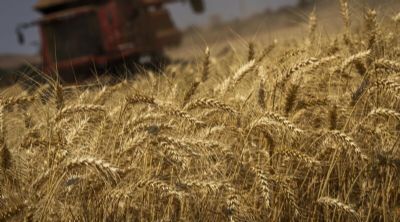 ​Valor Bruto da Produ��o Agropecu�ria de 2023 � estimado em R$ 1,216 trilh�o