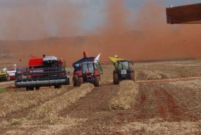 Chuvas elevam em 2,2% previs�o da safra para este ano