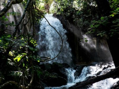 Salgadeira ser� entregue em abril