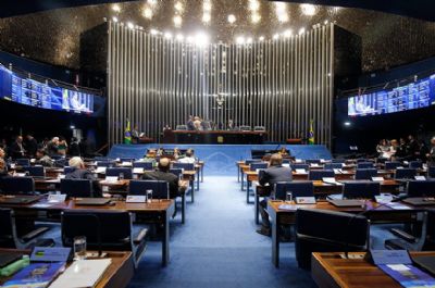 Senado confirma pens�o vital�cia para crian�as com Microcefalia