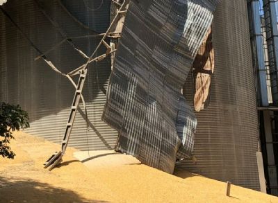 Silo rompe em Sorriso e atinge cria��o de aves