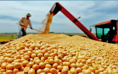 Soja come�a semana em alta, mas custo de produ��o preocupa produtores
