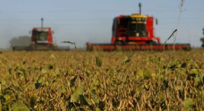 Dias de campo da Funda��o MT difundem informa��es estrat�gicas para a safra de soja