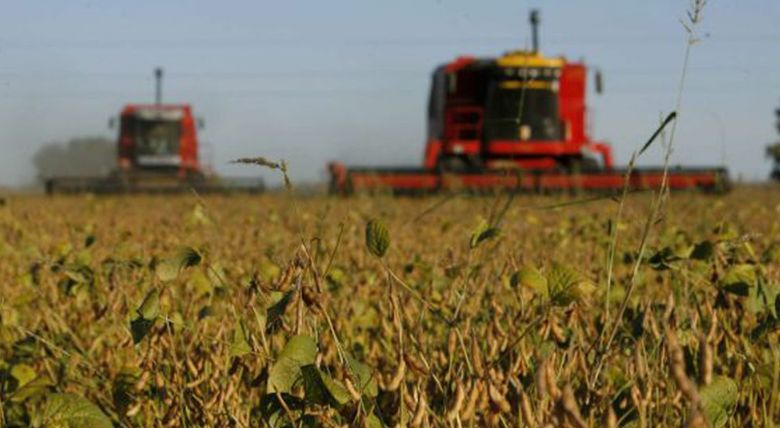 ​Prazo para cadastrar �rea plantada de soja termina na quarta
