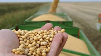 Produtores de soja de MT pagam 9% mais caro pelo frete para escoar a produ��o neste ano