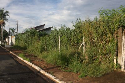 Queimada urbana prejudica a sa�de da popula��o e vai gerar multas em Acorizal