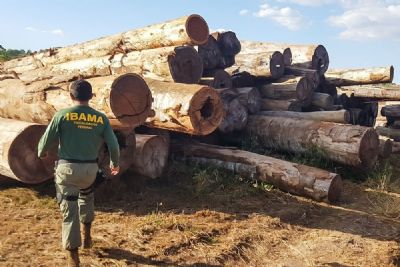 Ibama descobre fraude em plano de manejo e aplica multa de R$ 782 mil em Mato Grosso