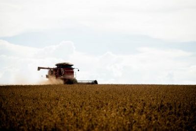 Campo Verde � o 4� maior produtor agr�cola de Mato Grosso