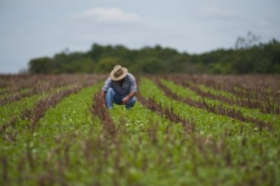 Programas de orienta��o e cursos levam sa�de e qualidade de vida ao homem do campo