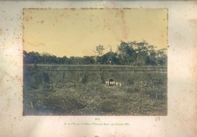 Documentos sobre Mato Grosso colonial s�o considerados Patrim�nio Cultural da Unesco
