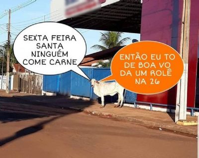 Vaca solta em rua de Tangar� da Serra (MT) vira meme
