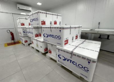 Doses da vacina contra a dengue ser�o liberadas a munic�pios de MT nesta quinta