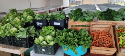 ​Agricultores familiares forneceram de alimentos para fam�lias em situa��o de vulnerabilidade social