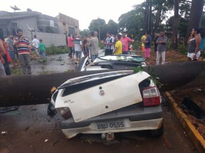 ​�rvore de 30 metros cai durante temporal e esmaga carro de passeio