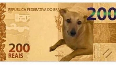 Banco Central estuda a��o para vira-lata caramelo ap�s peti��o de nota de R$ 200